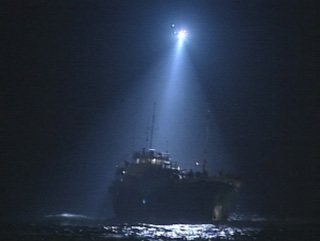 Golden Venture Ran Aground